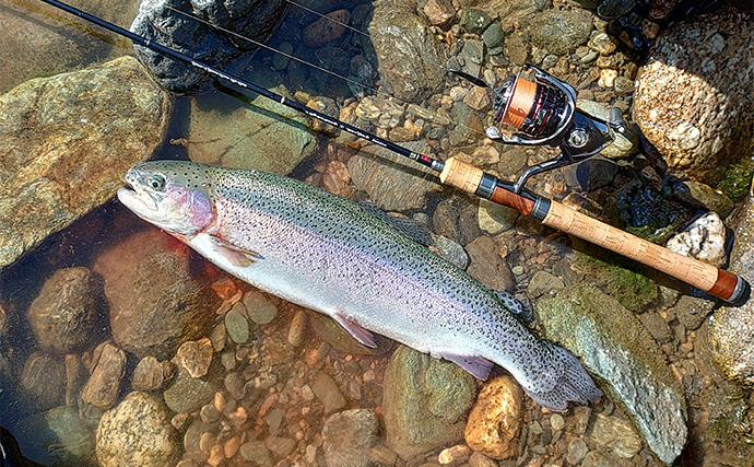 天竜川ルアーフライテンカラ専用区のルアー釣りで57cm超え含む大型ニジマス連発！【静岡】