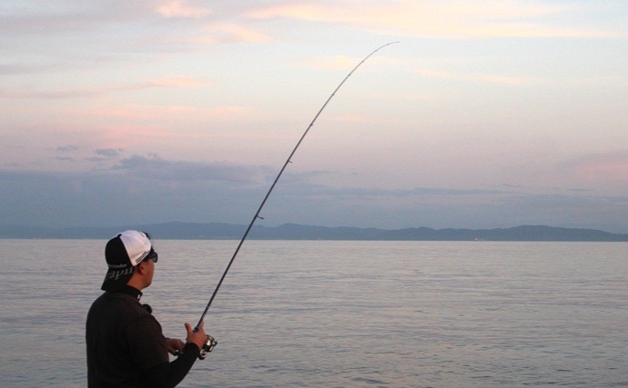 「遠投・感度・操作性の三拍子が揃った！」26コルトで沖堤アジングを攻略成功【兵庫・志筑一文字】