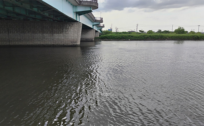 真冬のデイシーバスゲーム攻略の極意　「浅場のボトム」を狙うべし！