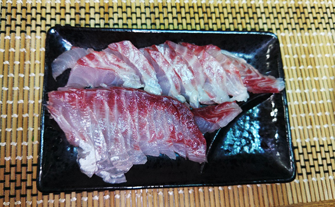 「遠投カゴ釣りデビューしてみた！」2回目の堤防釣行で37cmイサキをキャッチ【和歌山】