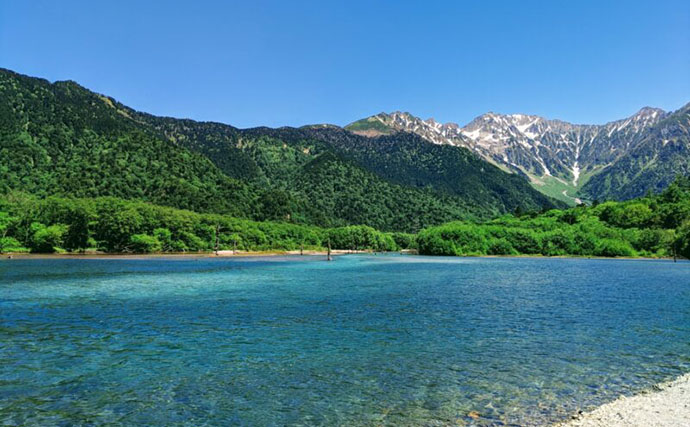 【水辺の豊かさが小児喘息の罹患リスクを抑止する？】　生物多様性の最新研究に注目