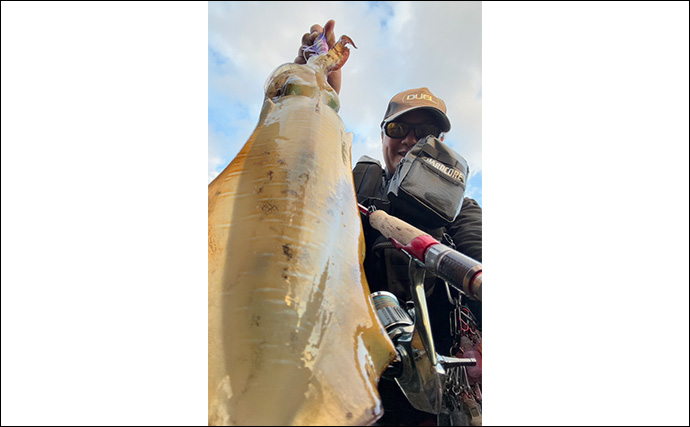 【冬エギング攻略法】アオリイカの捕食タイミング・居場所を予測して釣果につなげよう