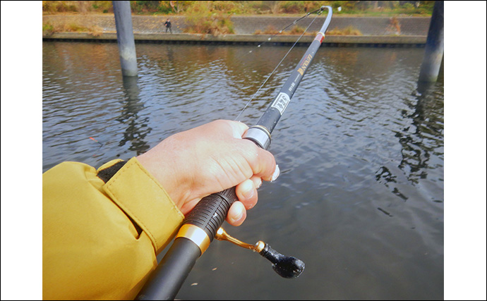 荒川ハクレン釣りで92cm頭に良型2尾手中！【埼玉】 高活性のボラにはお手上げ？