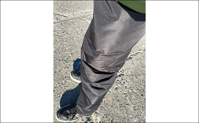 寒波到来＆暴風の浜名湖でダイソージグサビキを投げてみた　ヒイラギ入れ掛かりの謎