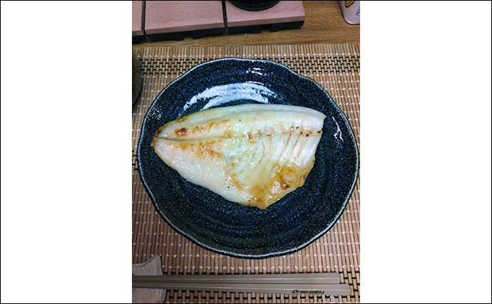 「遠投カゴ釣りデビューしてみた！」2回目の堤防釣行で37cmイサキをキャッチ【和歌山】