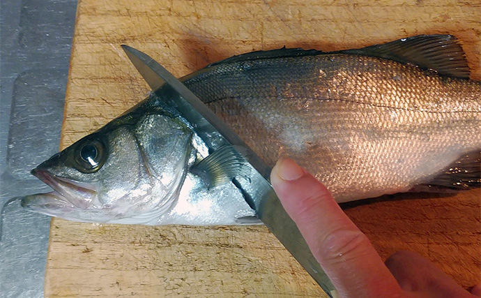 釣った魚で作る「ビールのあて」レシピ：セイゴのサクッと揚げ　市販の天ぷら粉でOK