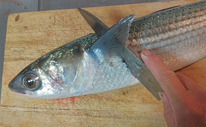 釣魚で作る「食欲増進」レシピ：ボラのみそカツ　ニンニクが味の決め手