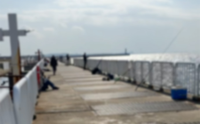 「釣れた翌日は釣れない？」サゴシ爆釣の知らせでショアジギ釣行するも本命1本【大阪】