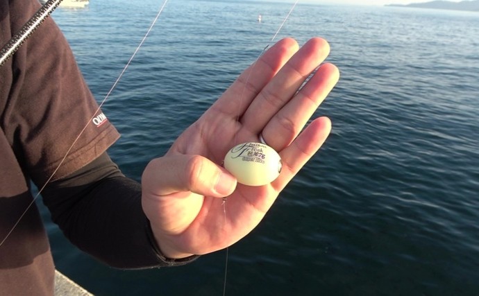 「遠投・感度・操作性の三拍子が揃った！」26コルトで沖堤アジングを攻略成功【兵庫・志筑一文字】