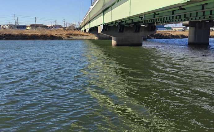 真冬の養老川で83cm「ランカー」シーバス浮上！　バイブレーションにヒット