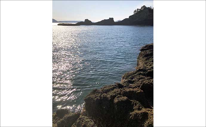 磯フカセ釣りで40cm級尾長＆口太グレ好捕【和歌山】 シマアジバラシに意気消沈