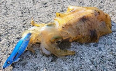 【2025年に流行った釣りランキング】釣具屋スタッフ200人に聞いてみ…