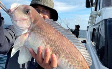 【沖釣り釣果速報】3kg超の“化け物級シロアマダイ”浮上！大分沖で記録…