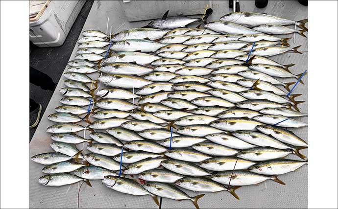 【沖釣り釣果速報】芦屋沖の落とし込み釣りで100cmの大ヒラマサ降臨！船中青物67尾の爆釣劇（福岡）