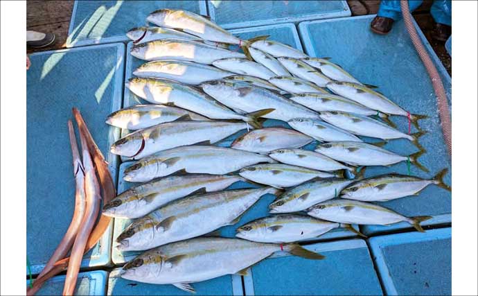 【沖釣り釣果速報】芦屋沖の落とし込み釣りで100cmの大ヒラマサ降臨！船中青物67尾の爆釣劇（福岡）