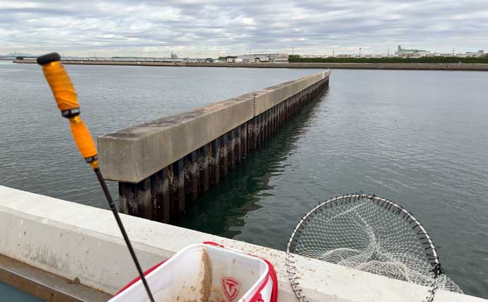 碧南釣り広場のウキフカセ釣り攻略：パイル周りでクロダイ38cm含む4匹キャッチ