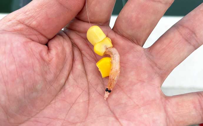 碧南釣り広場のウキフカセ釣り攻略：パイル周りでクロダイ38cm含む4匹キャッチ