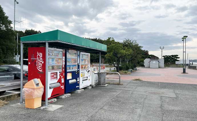 碧南釣り広場のウキフカセ釣り攻略：パイル周りでクロダイ38cm含む4匹キャッチ