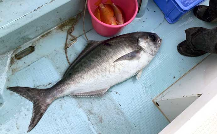 【沖釣り釣果速報】中深海釣りで赤い宝石アカムツ確保！アマダイ＆オニカサゴも連発（北陸）