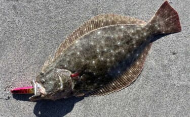 豊橋サーフルアーフィッシングでヒラメ40cm級2匹キャッチ！【愛知】短…