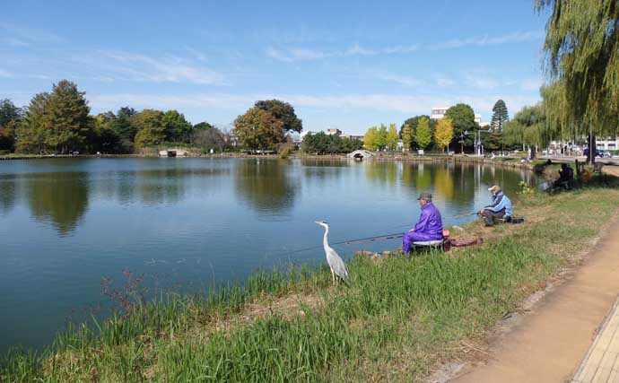 今週のヘラブナ推薦釣り場2025【埼玉・水城公園しのぶ池】