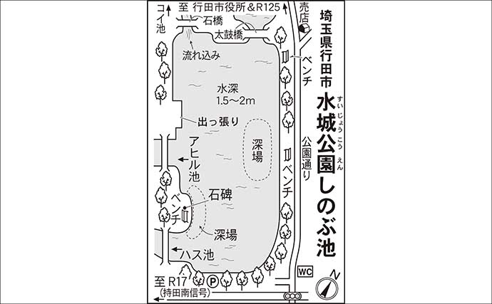 今週のヘラブナ推薦釣り場2025【埼玉・水城公園しのぶ池】