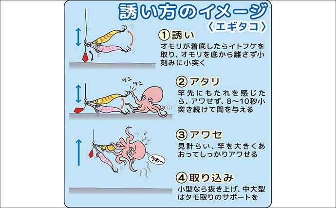 茨城＆東京湾で始めるエギタコ釣り：失敗しない誘い方とアワセ完全ガイド
