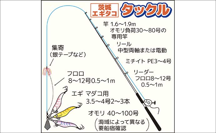 茨城＆東京湾で始めるエギタコ釣り：失敗しない誘い方とアワセ完全ガイド