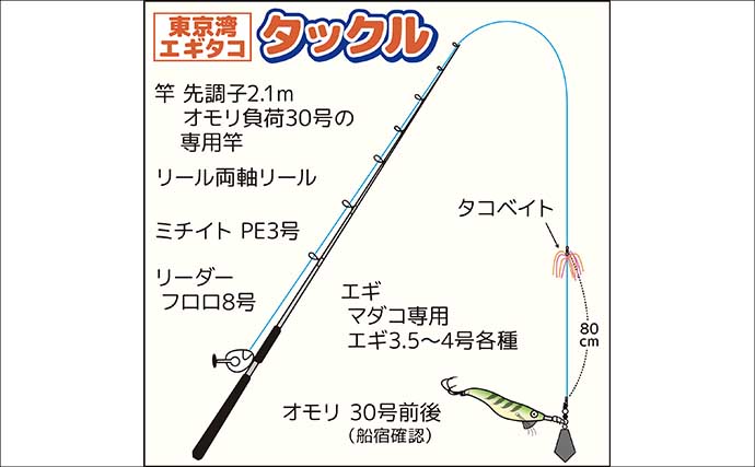 茨城＆東京湾で始めるエギタコ釣り：失敗しない誘い方とアワセ完全ガイド