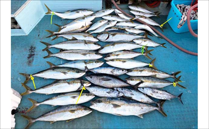 【沖釣り釣果速報】五島灘のジギング・タイラバ船でヤイトガツオ＆ヒラマサ浮上！（長崎・佐賀）