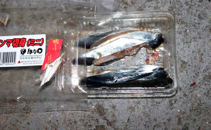 誰でもできるアナゴの夜釣り入門　必要タックル・釣り方・さばき方まで総まとめ