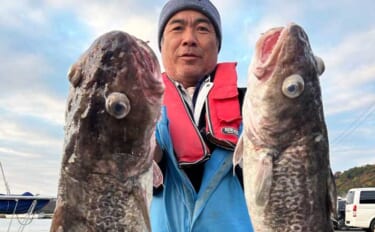 【沖釣り釣果速報】福井沖の中深海マダラ釣りが絶好調！10kgオーバー続…