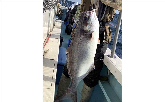 【沖釣り釣果速報】福井沖の中深海マダラ釣りが絶好調！10kgオーバー続々浮上（北陸）