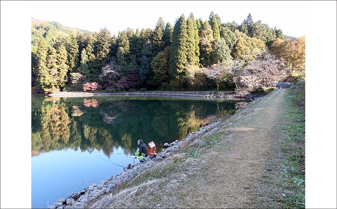 今週のヘラブナ推薦釣り場2025【栃木・栗谷沢ダム】