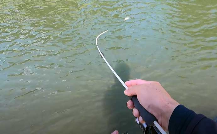 冬こそ楽しいトラウトゲーム！　 管理釣り場でクランクベイトを使いこなそう