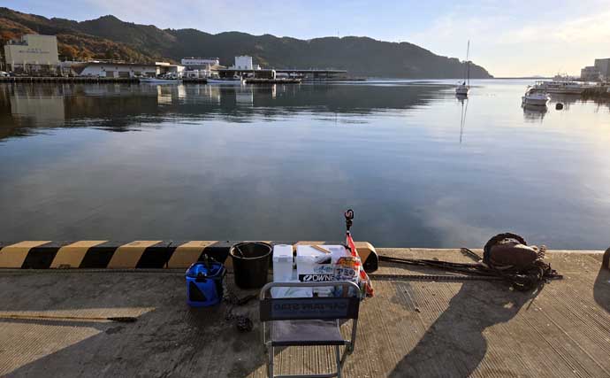女川港のイワシサビキ釣りで2時間60尾の入れ食いを堪能【宮城】海面が騒ぐほどの群れ来襲