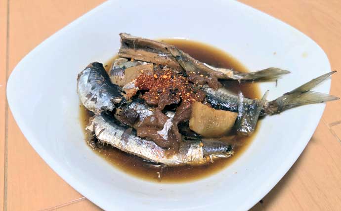 女川港のイワシサビキ釣りで2時間60尾の入れ食いを堪能【宮城】海面が騒ぐほどの群れ来襲