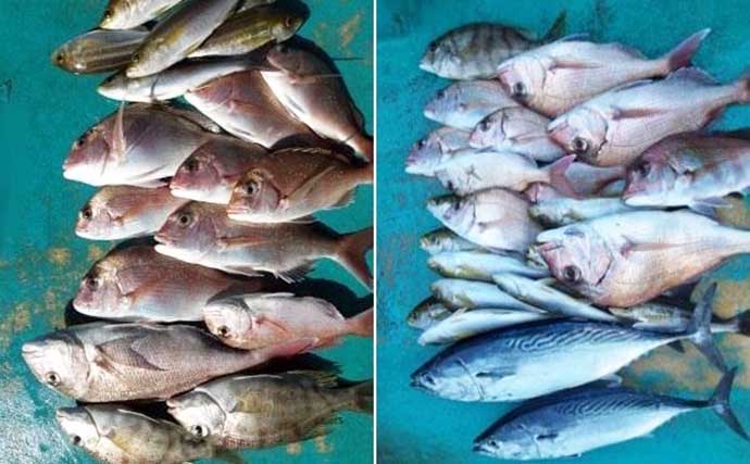 関西エリアの【船釣り特選釣果】ノマセ便で良型ヒラメ＆大型サワラが同日ヒット！