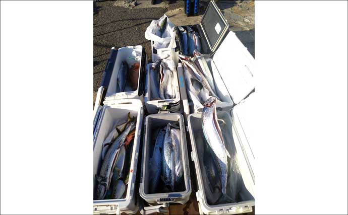 関西エリアの【船釣り特選釣果】ノマセ便で良型ヒラメ＆大型サワラが同日ヒット！