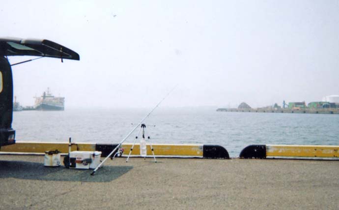 「父の形見のタックルで清水港へ」投げ釣りで出会った20cmシロギスに感動【静岡】