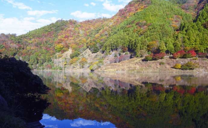 陸から狙う青土ダム湖のワカサギ釣り【滋賀県】本命44匹にスゴモロコ＆シラハエもヒット