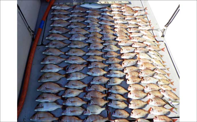 【沖釣り釣果速報】伊良湖沖でビッグヒガンフグ＆カワハギ好調！良型揃って冬の旬満喫（愛知）