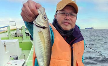 東京湾のショートアジ釣りで40cm級含み船中トップ17尾キャッチ【神奈…