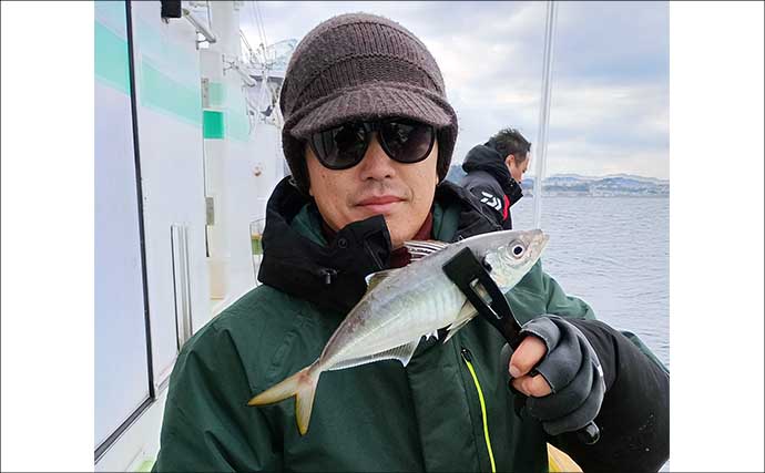 東京湾のショートアジ釣りで40cm級含み船中トップ17尾キャッチ【神奈川】速潮攻略がカギ