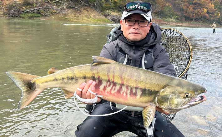 鮭川の鮭有効利用調査で良型73cm4.6kg浮上！【山形】仲間は念願の初