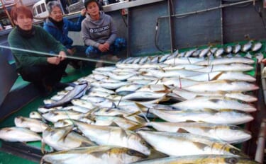 【沖釣り釣果速報】ヒラマサがデッキにズラリ！玄界灘の落とし込み釣りで青…