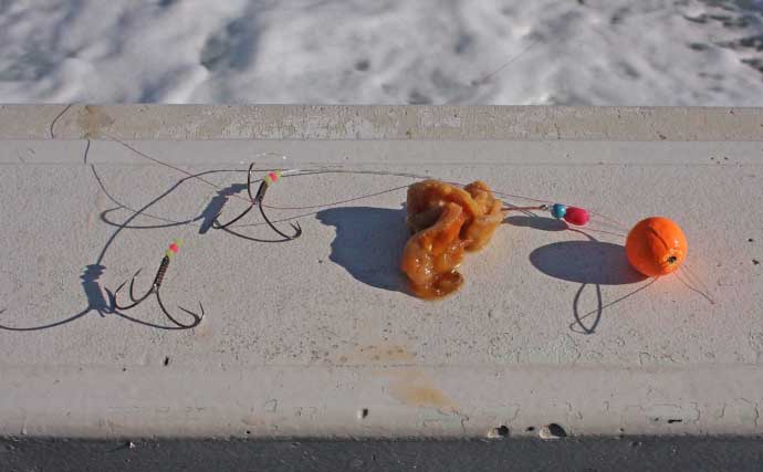 「暗いうちがチャンス」大原沖ショウサイフグ釣りは朝マズメが狙いめ【千葉・春日丸】