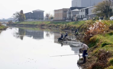 今週のヘラブナ推薦釣り場【埼玉県・大落古利根川】