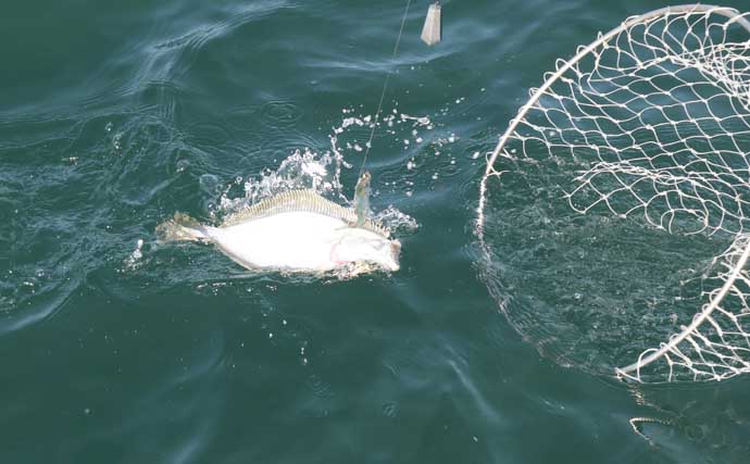 鹿島沖のヒラメ釣りで最大2.5kg＆トップ6尾手中【茨城】水深20m前後が狙い目