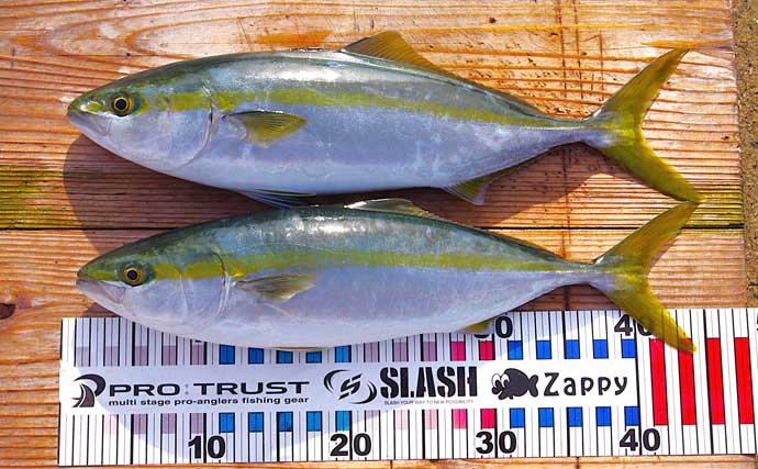 シーズン最後のジギング釣行でハマチをキャッチ！【明石沖】今シーズンは苦戦続き